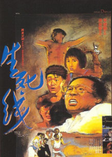 闻闻的世界